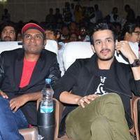 Akhil Movie Platinum Disc Function Stills | Picture 1155717