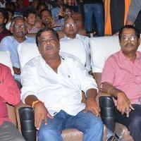 Akhil Movie Platinum Disc Function Stills | Picture 1155732