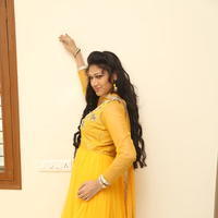 Sirisha at Okkaditho Modalaindi Movie Press Meet Photos | Picture 1156167