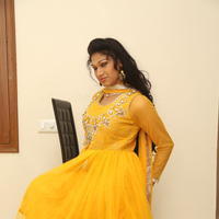 Sirisha at Okkaditho Modalaindi Movie Press Meet Photos | Picture 1156210