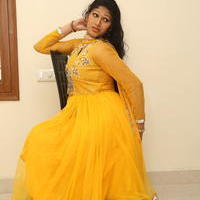 Sirisha at Okkaditho Modalaindi Movie Press Meet Photos | Picture 1156216