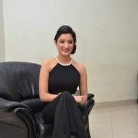 Richa Panani at Memu Movie Audio Launch Photos | Picture 1157862