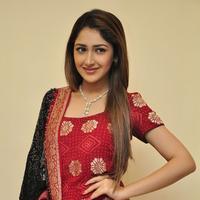 Sayesha Saigal Cute Gallery | Picture 1157991
