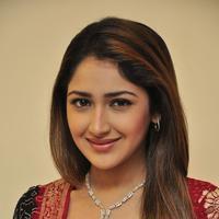 Sayesha Saigal Cute Gallery | Picture 1157994