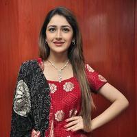Sayesha Saigal Cute Gallery | Picture 1158000