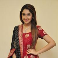 Sayesha Saigal Cute Gallery | Picture 1158013