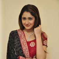 Sayesha Saigal Cute Gallery | Picture 1158018