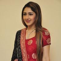 Sayesha Saigal Cute Gallery | Picture 1158019