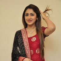 Sayesha Saigal Cute Gallery | Picture 1158021