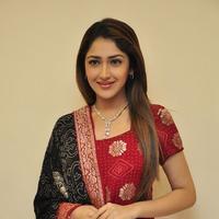Sayesha Saigal Cute Gallery | Picture 1158022