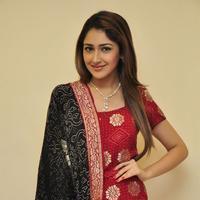 Sayesha Saigal Cute Gallery | Picture 1158024