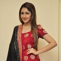Sayesha Saigal Cute Gallery | Picture 1158026