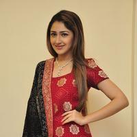 Sayesha Saigal Cute Gallery | Picture 1158027