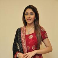 Sayesha Saigal Cute Gallery | Picture 1158028