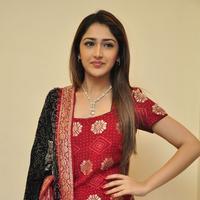 Sayesha Saigal Cute Gallery | Picture 1158029