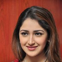 Sayesha Saigal Cute Gallery | Picture 1158030