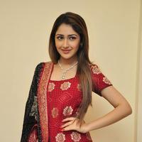 Sayesha Saigal Cute Gallery | Picture 1158031