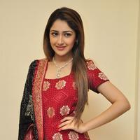 Sayesha Saigal Cute Gallery | Picture 1158032