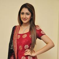Sayesha Saigal Cute Gallery | Picture 1158033