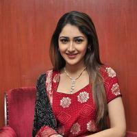 Sayesha Saigal Cute Gallery | Picture 1158034