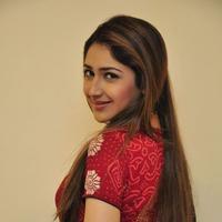 Sayesha Saigal Cute Gallery | Picture 1158035