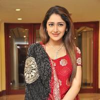 Sayesha Saigal Cute Gallery | Picture 1158044