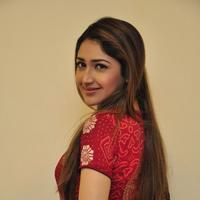 Sayesha Saigal Cute Gallery | Picture 1158059
