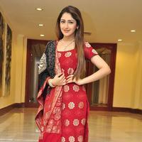 Sayesha Saigal Cute Gallery | Picture 1158067