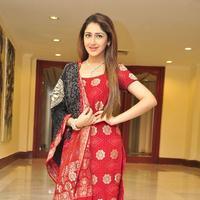 Sayesha Saigal Cute Gallery | Picture 1158068