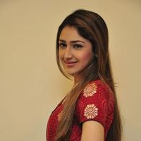 Sayesha Saigal Cute Gallery | Picture 1158072