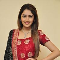 Sayesha Saigal Cute Gallery | Picture 1158073
