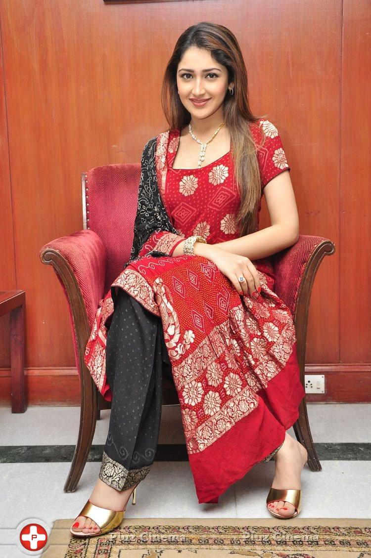 Sayesha Saigal Cute Gallery | Picture 1158051