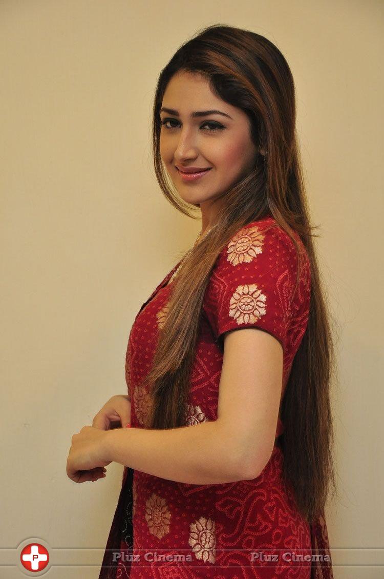 Sayesha Saigal Cute Gallery | Picture 1158072