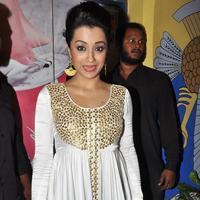 Trisha Krishnan - Cheekati Rajyam Movie Premiere Show Stills | Picture 1162214