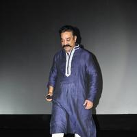 Kamal Hassan - Cheekati Rajyam Movie Premiere Show Stills | Picture 1162288
