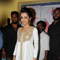 Trisha at Cheekati Rajyam Movie Premiere Show Photos | Picture 1162410