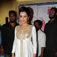 Trisha at Cheekati Rajyam Movie Premiere Show Photos | Picture 1162411