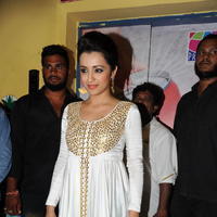 Trisha at Cheekati Rajyam Movie Premiere Show Photos | Picture 1162412