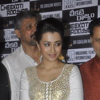 Trisha at Cheekati Rajyam Movie Premiere Show Photos | Picture 1162441