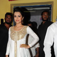 Trisha at Cheekati Rajyam Movie Premiere Show Photos | Picture 1162448