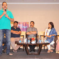 Cheekati Rajyam Movie Success Meet Photos | Picture 1163726