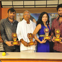 Srimathi Bangaram Movie Platinum Disc Function Photos