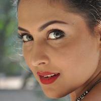 Madhu Shalini New Gallery | Picture 1166166