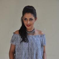 Madhu Shalini New Gallery | Picture 1166168