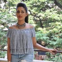 Madhu Shalini New Gallery | Picture 1166172