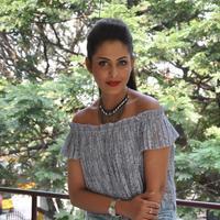 Madhu Shalini New Gallery | Picture 1166178