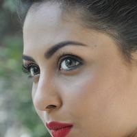 Madhu Shalini New Gallery | Picture 1166188