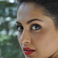 Madhu Shalini New Gallery | Picture 1166190