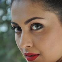 Madhu Shalini New Gallery | Picture 1166191