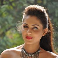 Madhu Shalini New Gallery | Picture 1166193